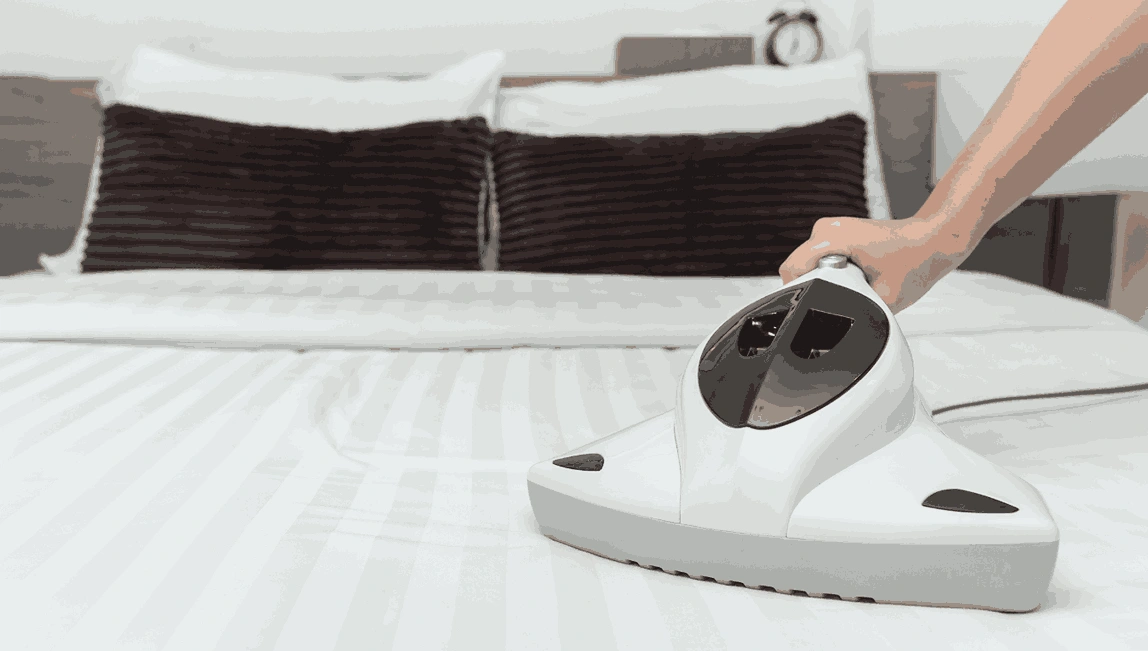 Professional Mattress Cleaning Truganina